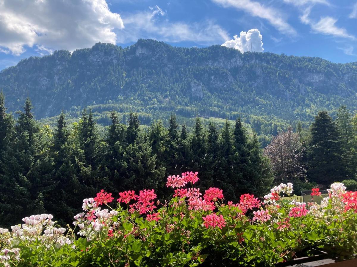 Ferienwohnung Mit Seeblick, Unterach Am Attersse Унтерах-ам-Аттерзе Екстер'єр фото